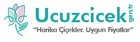 Ucuz iek