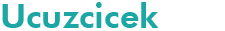 logo2